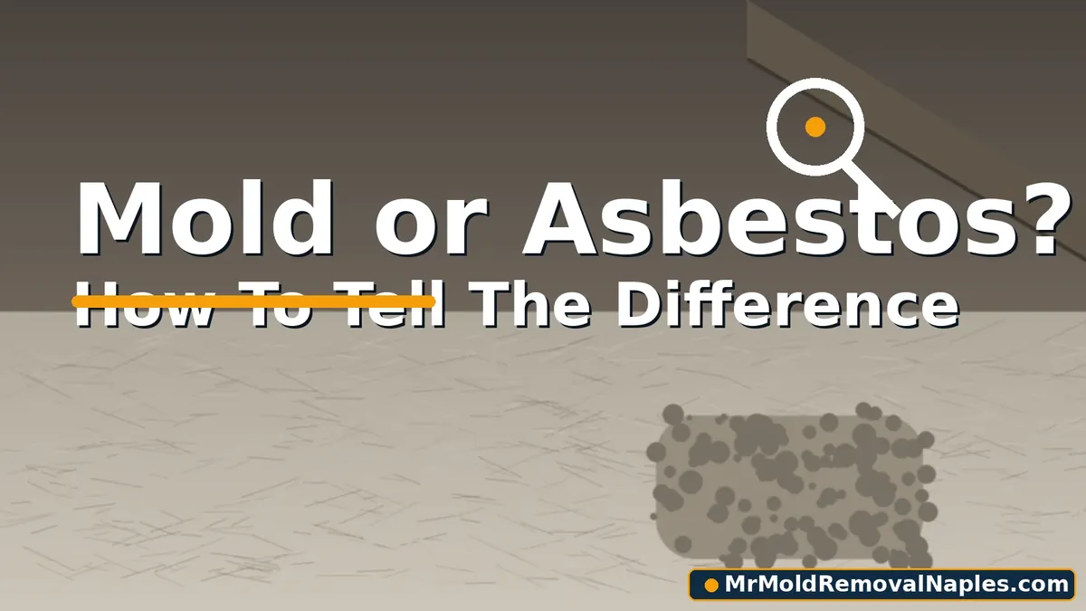 Is asbestos mold? How to tell asbestos insulation from mold growth in a Naples home